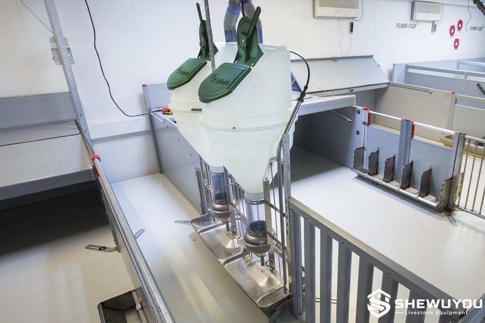 double-sided automatic nursery pig feeder