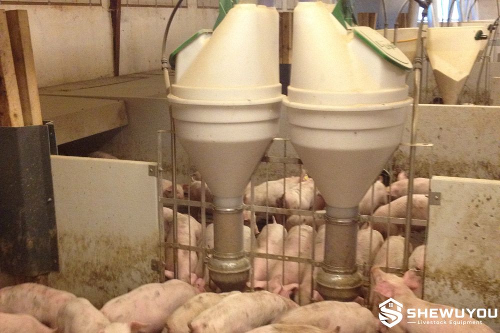 double automatic nursery pig feeder