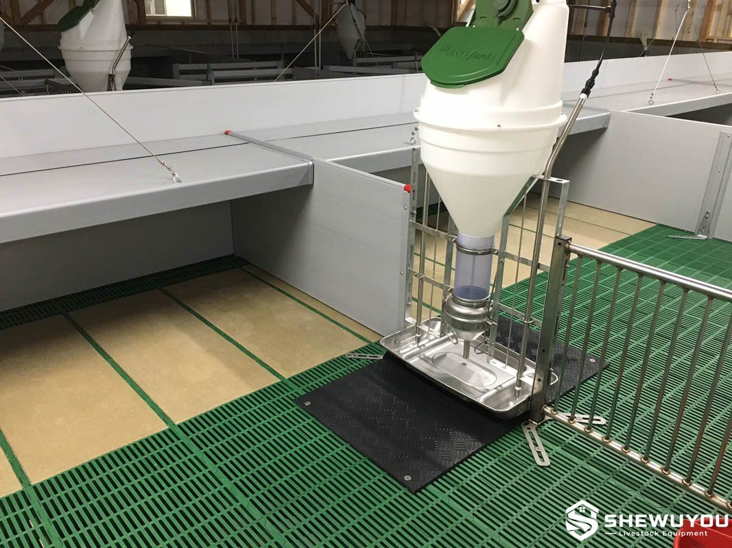 automatic nursery pig feeder in commercial pig barn