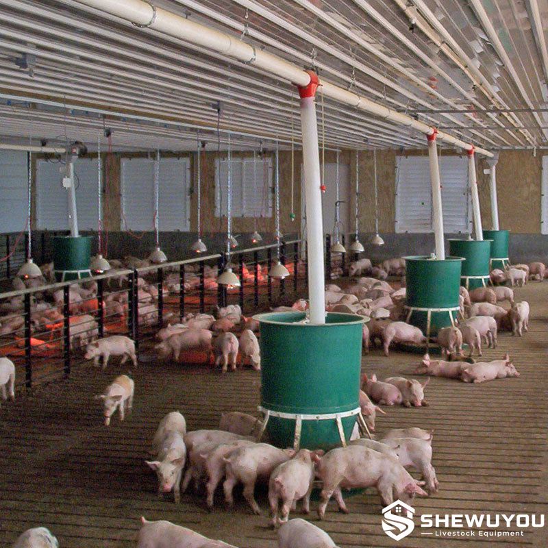 FAST Start Pig Feeders in Commercial Wean-to-Finish Barn
