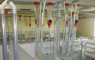 Sow Feeding Trough - SHEWUYOU Livestock Equipment