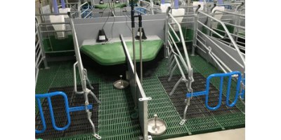 Lactating Sow Ad-Lib Feeding System Installation