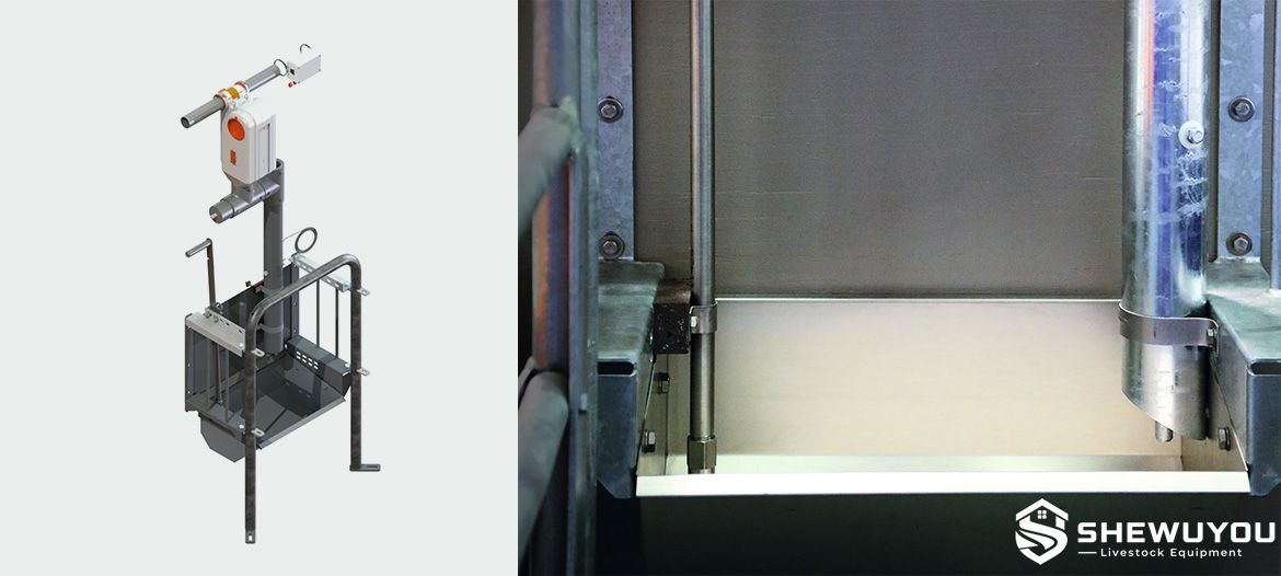 Automatic Individual Sow Feeder for Farrowing Pens