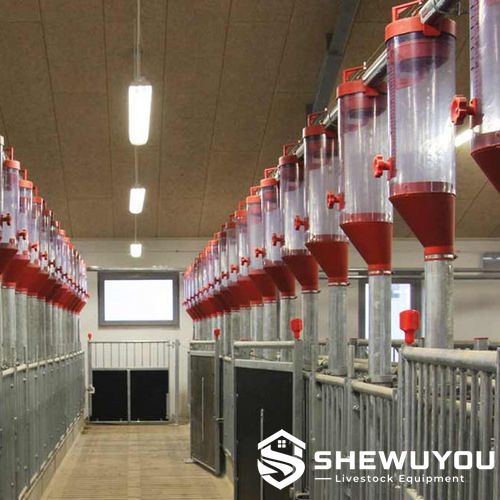 Volumetric Sow Feed Dispensers in Gestation Unit