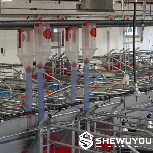 Adjustable Feed Dispensers in Farrowing Unit