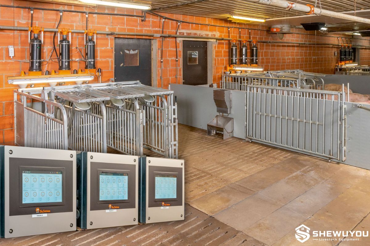 RFID Free-Access Sow Feeder for Group-Housed Sows