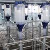 Volumetric Sow Feed Dispenser