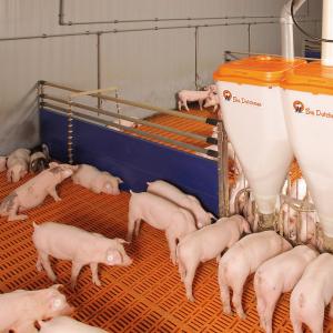 360° Dosing Automatic Nursery Feeder - SHEWUYOU Livestock Equipment
