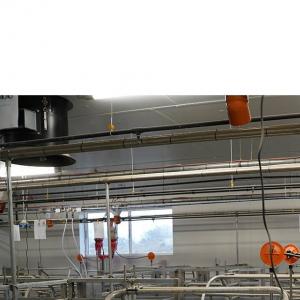 Sensor-Controlled Lactating Sow Feeder - SHEWUYOU Livestock Equipment