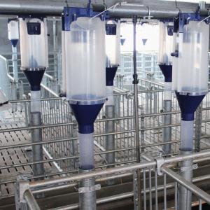 Volumetric Sow Feed Dispenser - SHEWUYOU Livestock Equipment