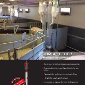 Combi Feeder for Sows and Weaners - SHEWUYOU Livestock Equipment