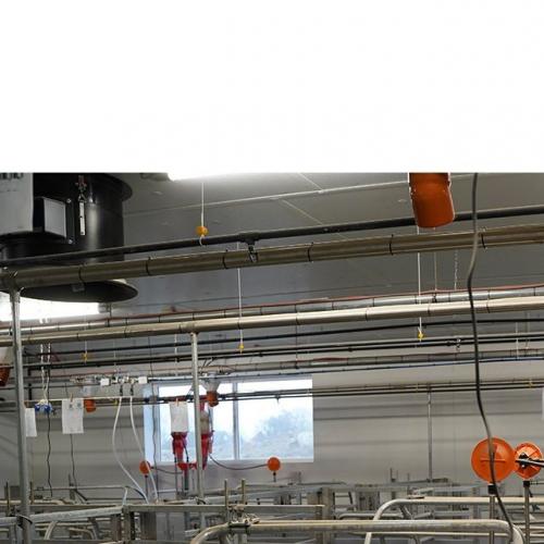 Sensor-Controlled Lactating Sow Feeder - SHEWUYOU Livestock Equipment