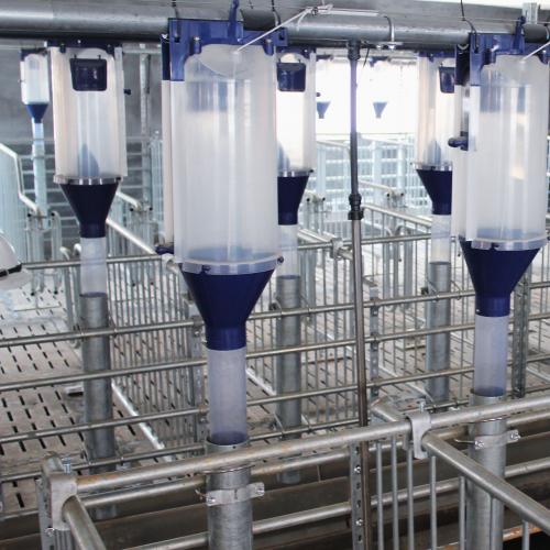 Volumetric Sow Feed Dispenser - SHEWUYOU Livestock Equipment