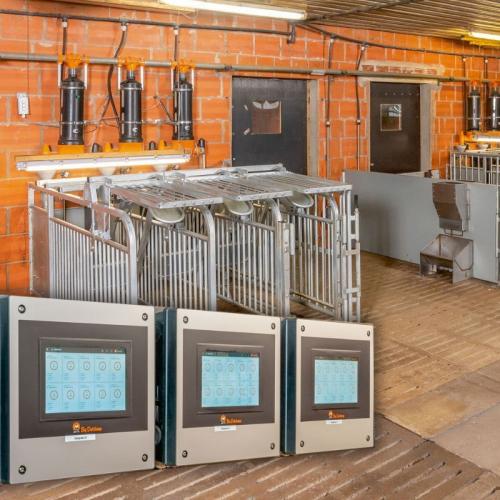 RFID Free-Access Sow Feeder