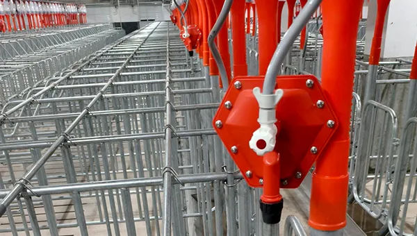 Automatic Pig Water Level Controller Installation