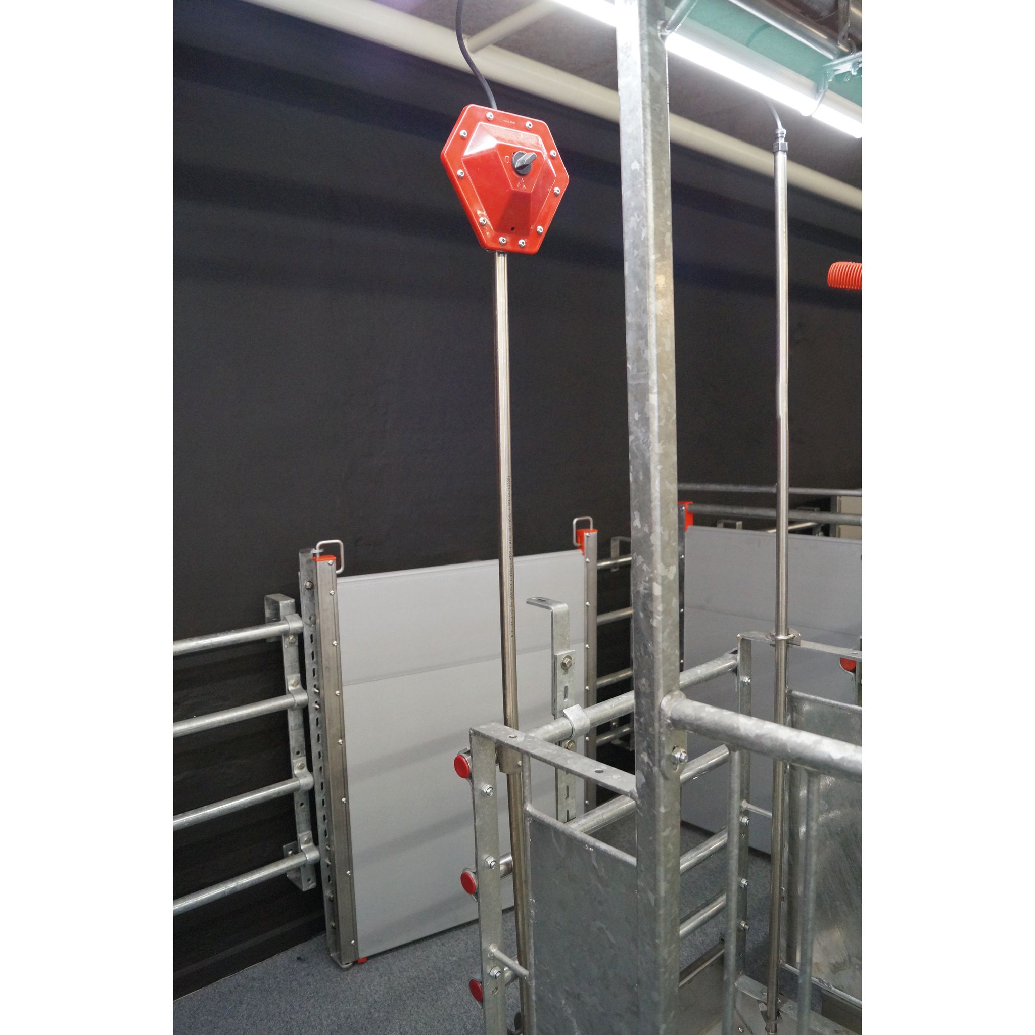 Water Level Controller Installed in Commercial Pig House