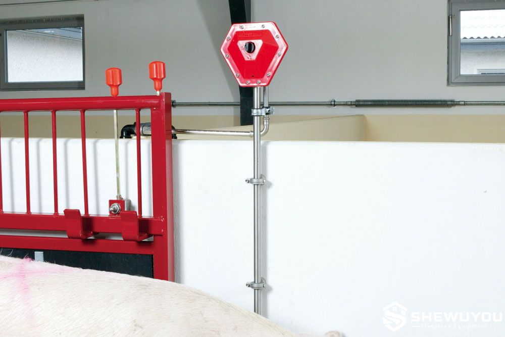 Pig Trough Water Level Valve with Vertical Stainless Steel Pipe
