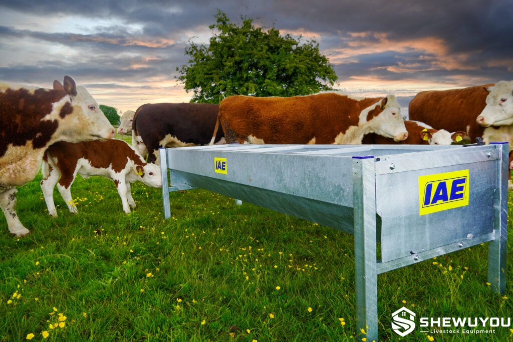 galvanized cattle feed trough on farm