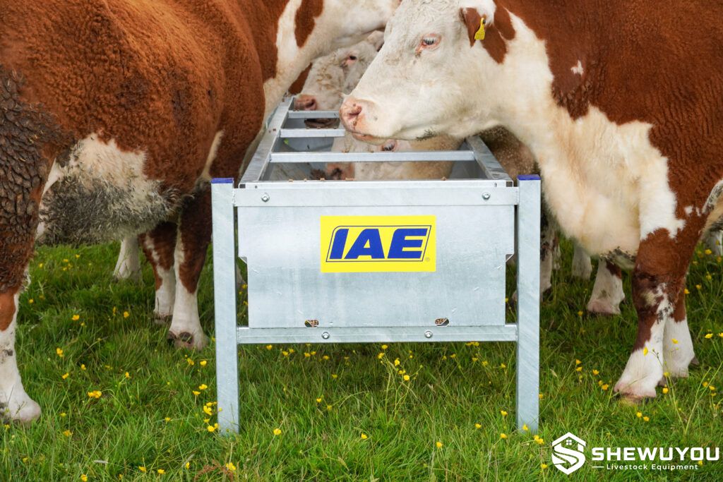 beef cattle galvanized feed trough