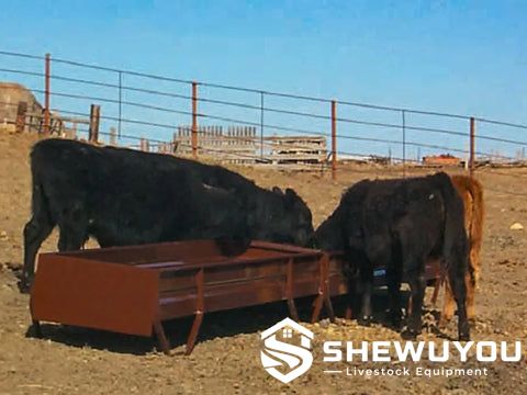 Grain and Silage Cattle Bunk Feeder