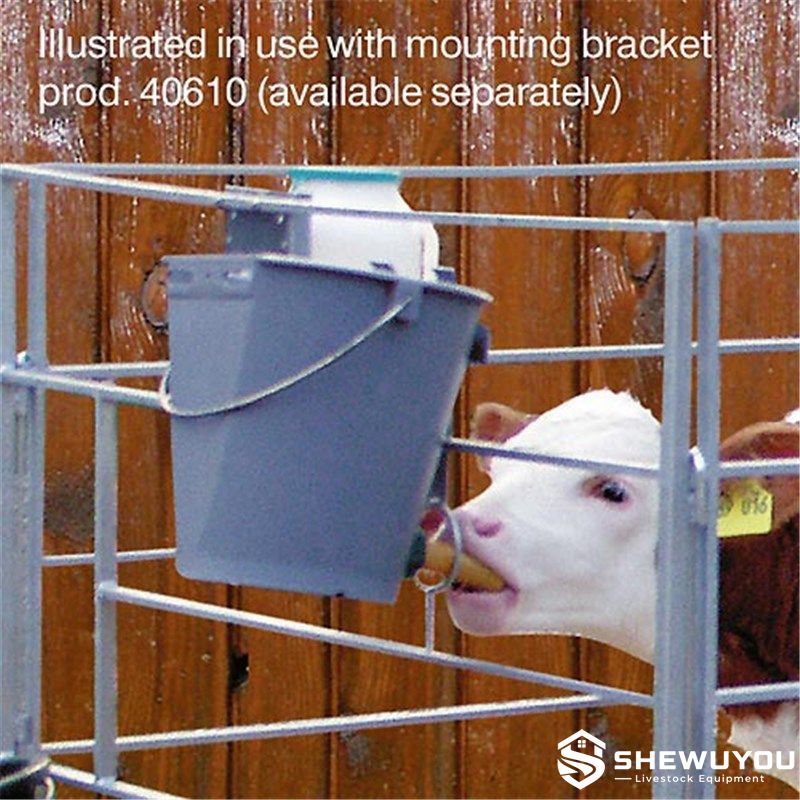 Single-Teat Calf Feeding Bucket in Calf Pen