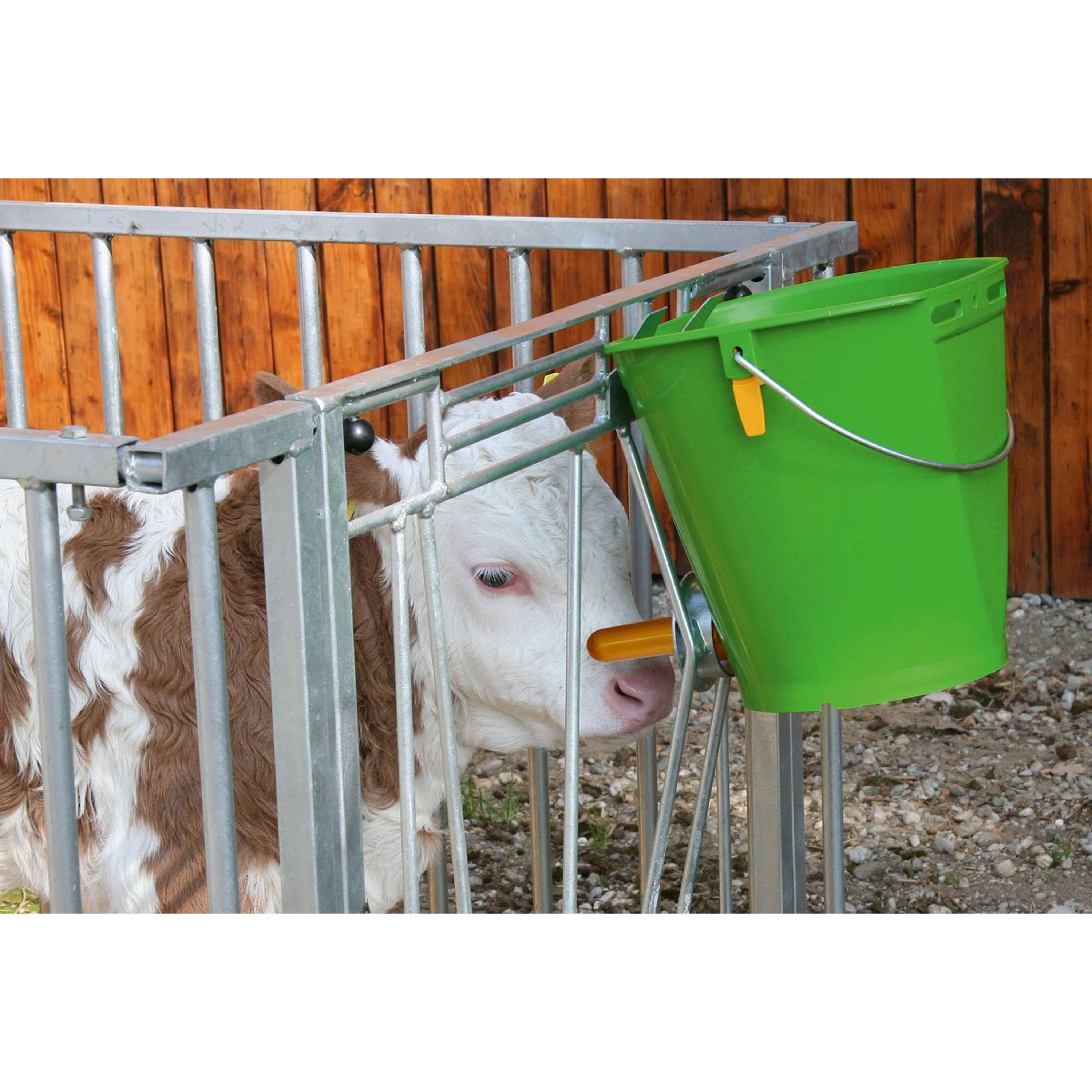 hygienic-valve calf bucket commercial calf housing application