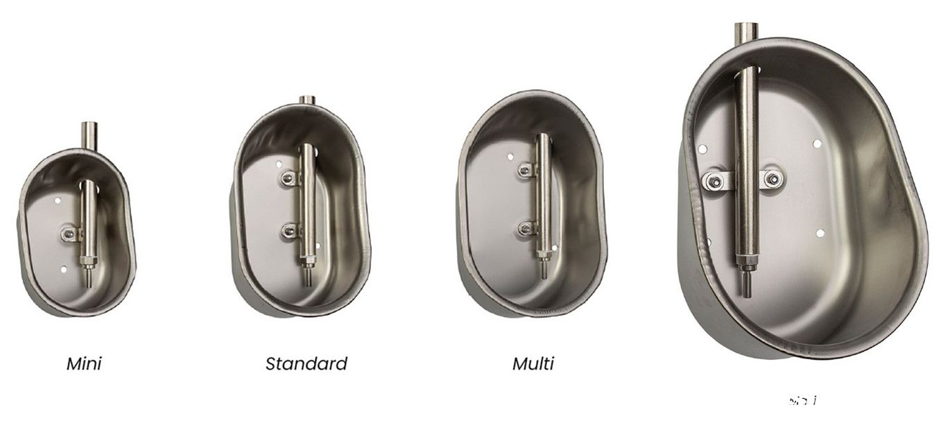 Stainless Steel Pig Drinking Bowl Series