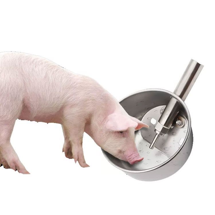Automatic Stainless Steel Piglet Water Bowl