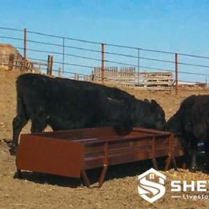 Grain & Silage Cattle Bunk Feeder - SHEWUYOU Livestock Equipment