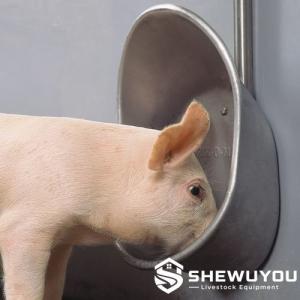 Piglet Stainless Steel Drinking Bowl - SHEWUYOU Livestock Equipment