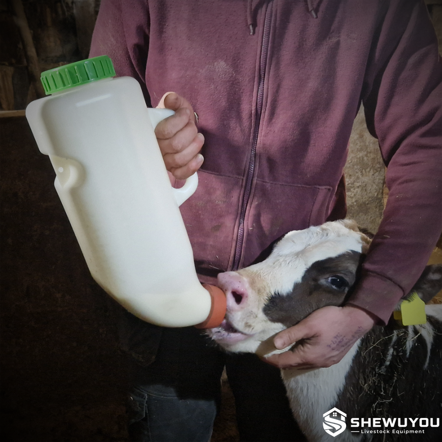 4L calf milk bottle feeding application