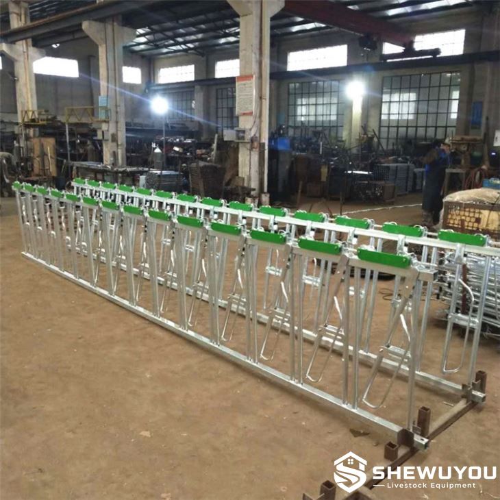 galvanized multi-position dairy cow headlock panel