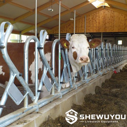 open-top self-locking headlock for horned cattle