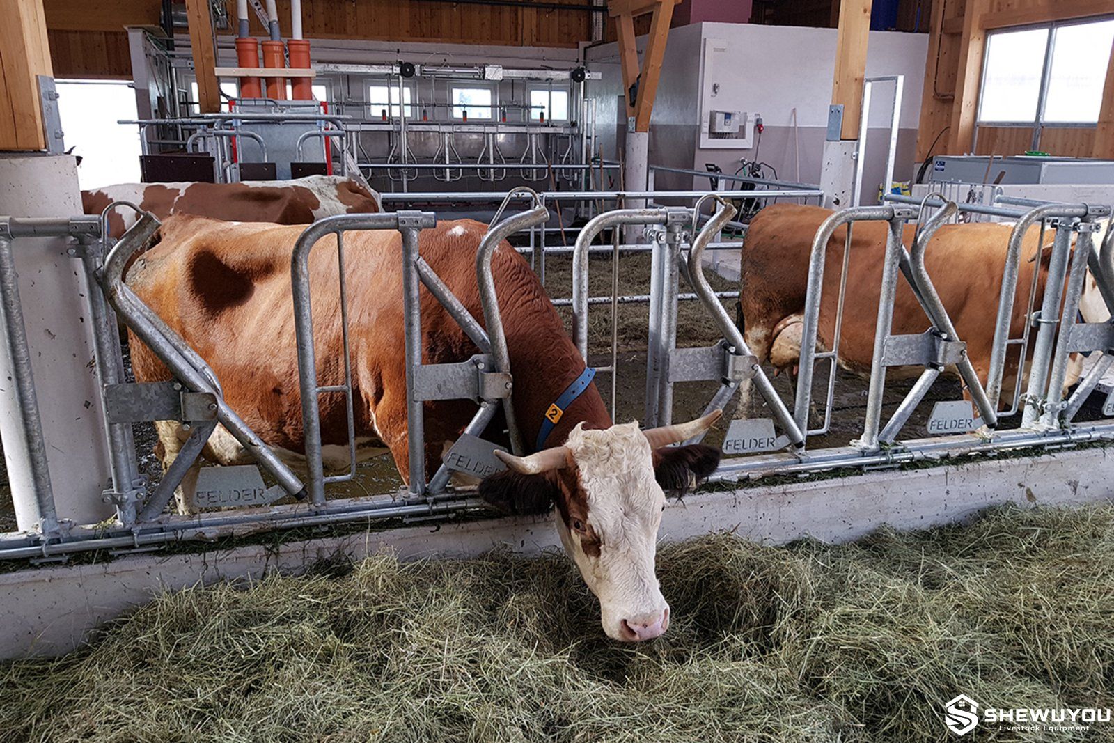 open-top feeding barrier for horned cattle