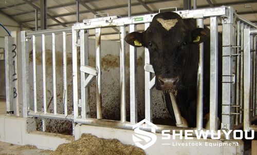 heavy-duty bull safety headlock