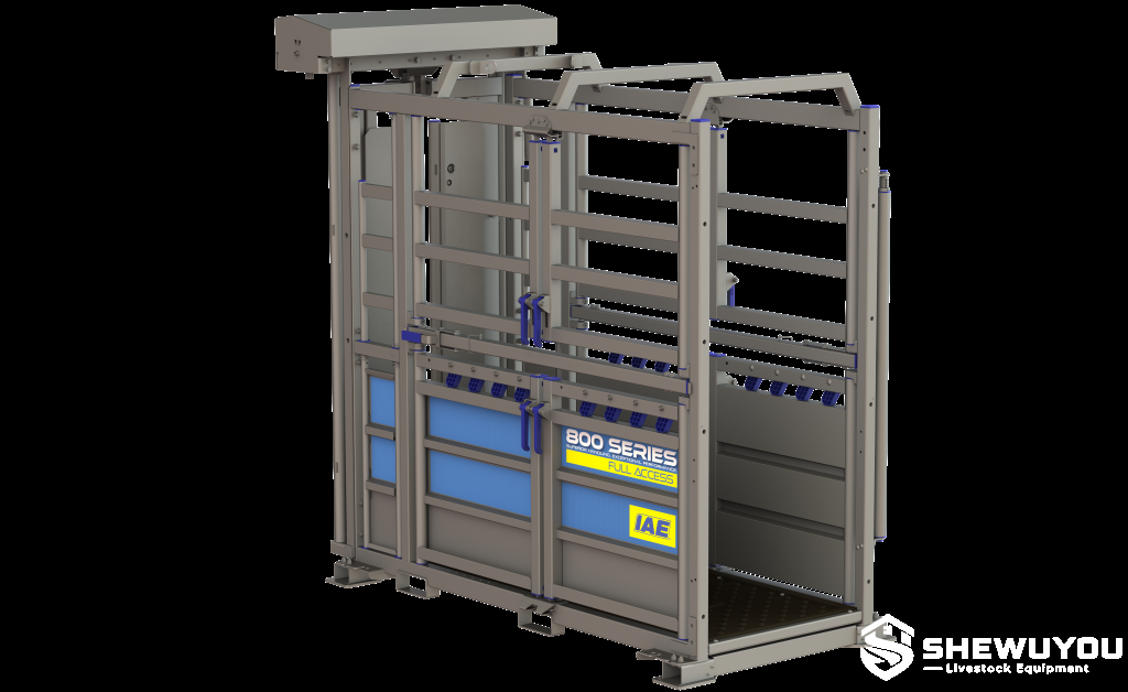 full-access veterinary cattle crush rear view