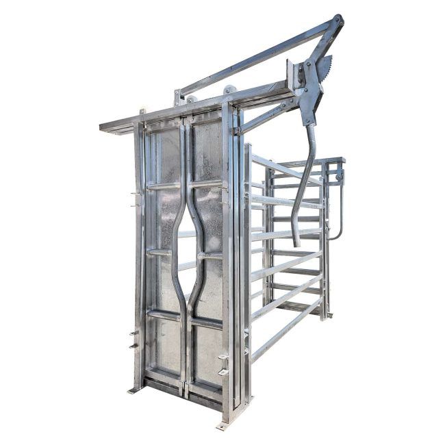 automatic cattle head yoke restraint system