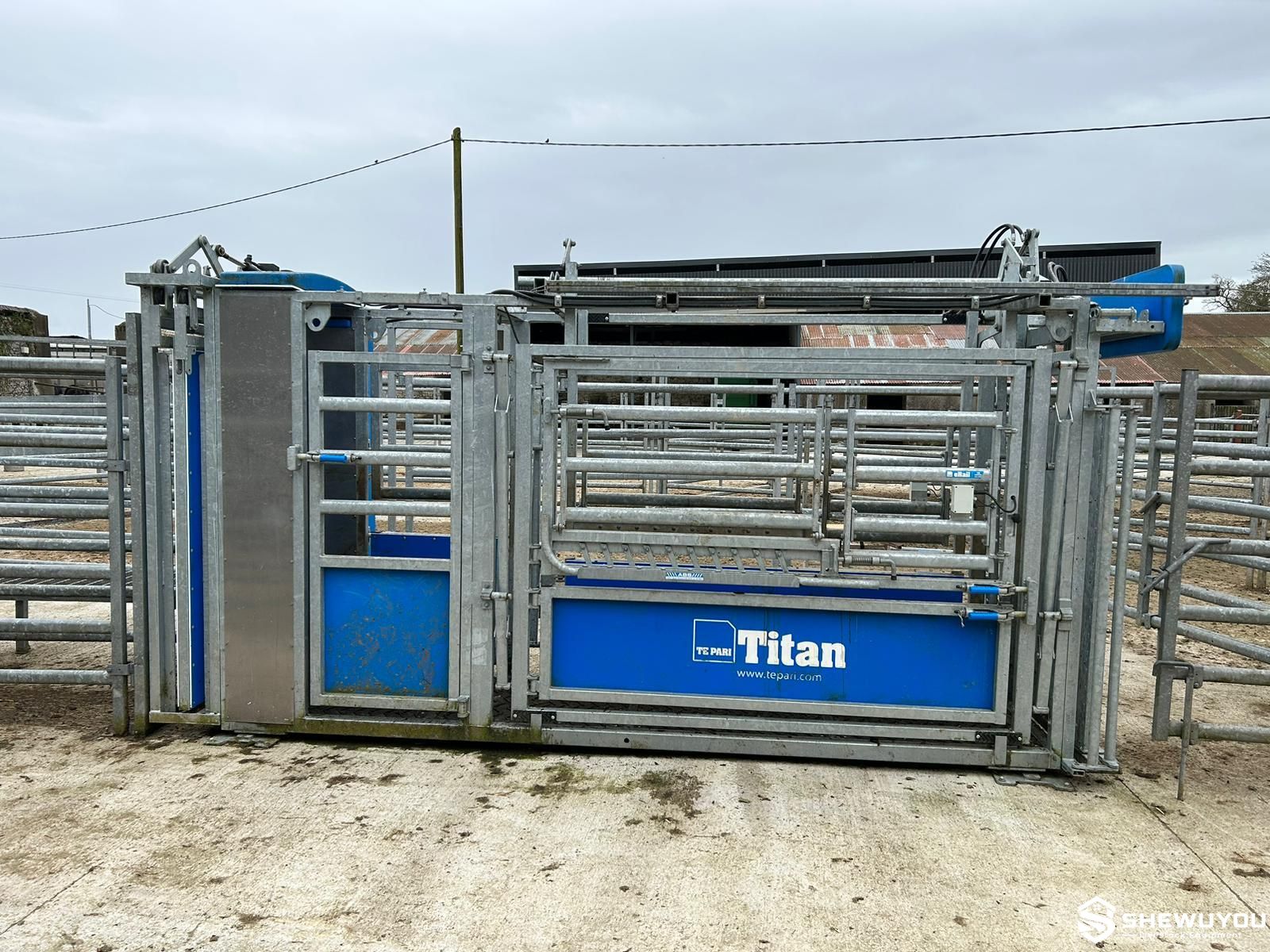 Titan hydraulic cattle squeeze crush side view