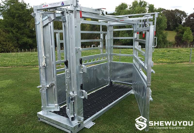 small cattle handling crush with access gates