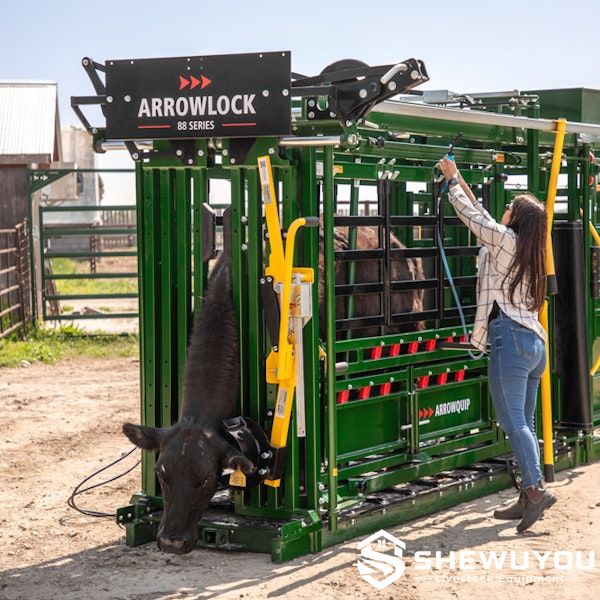 cattle treatment through portable squeeze crush side access