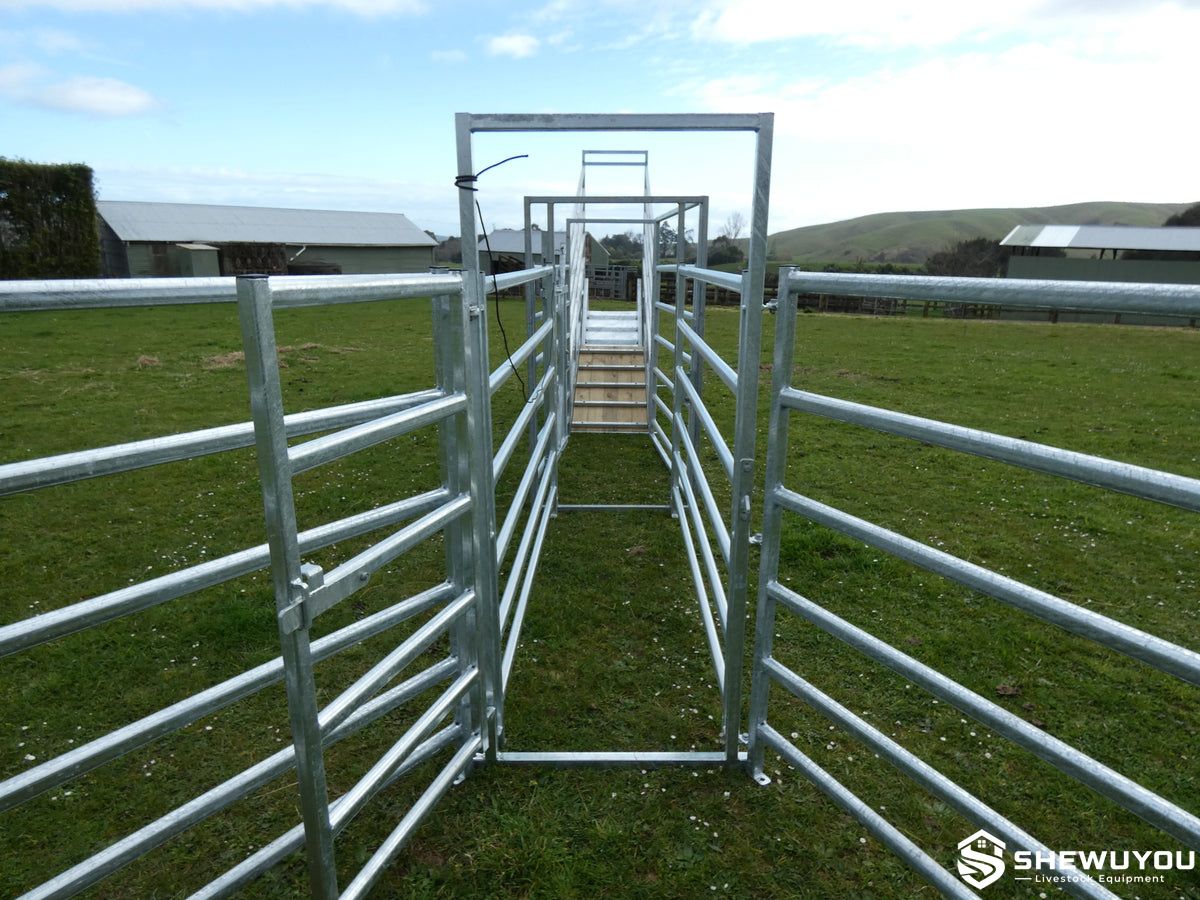 straight galvanized cattle handling race
