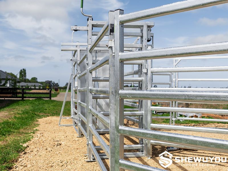 fixed cattle handling alley installation