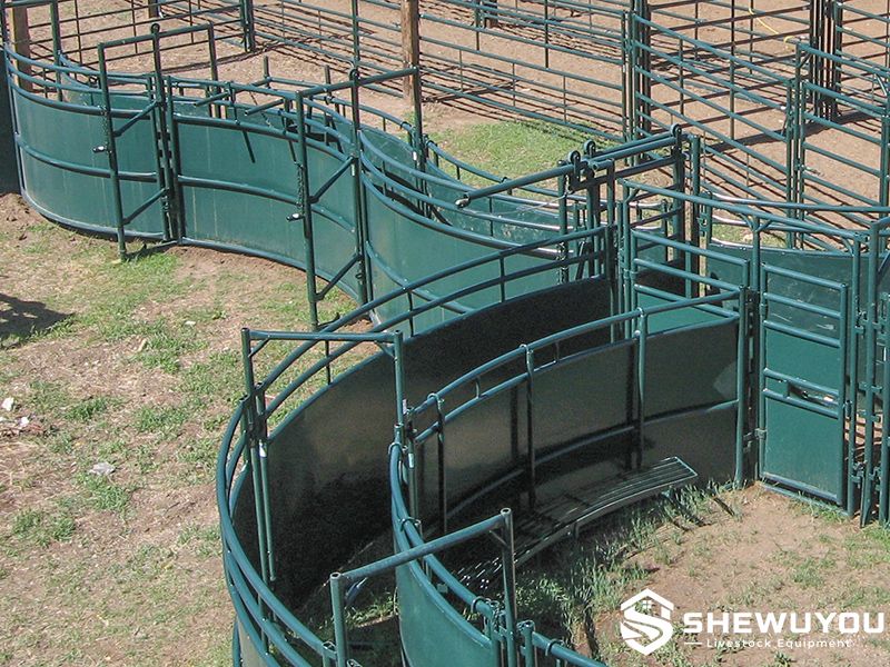 low-stress adjustable S-curve cattle alley