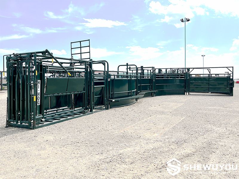 S-curve cattle handling alley installed in livestock yard