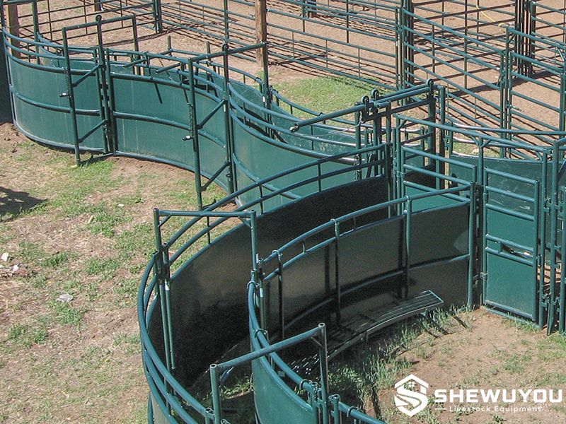 adjustable U curve cattle handling alley