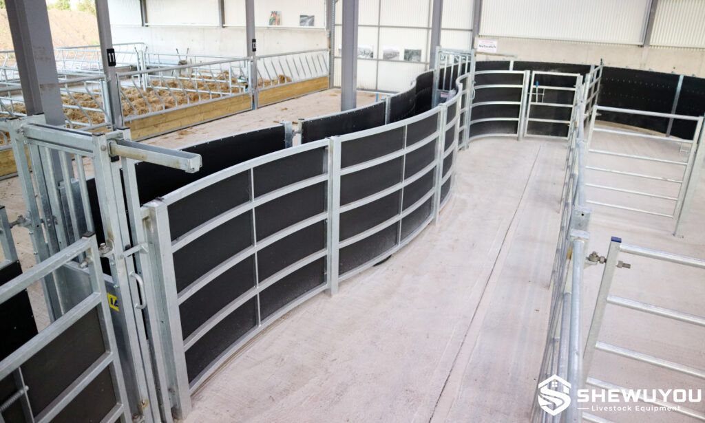 fully sheeted curved cattle race