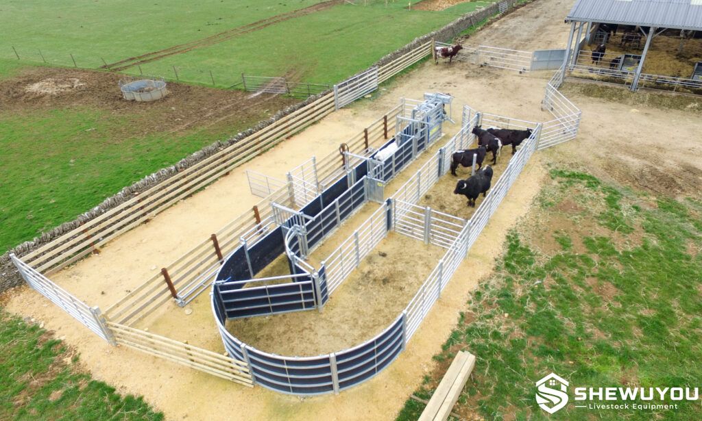 fixed cattle race and handling yard installation