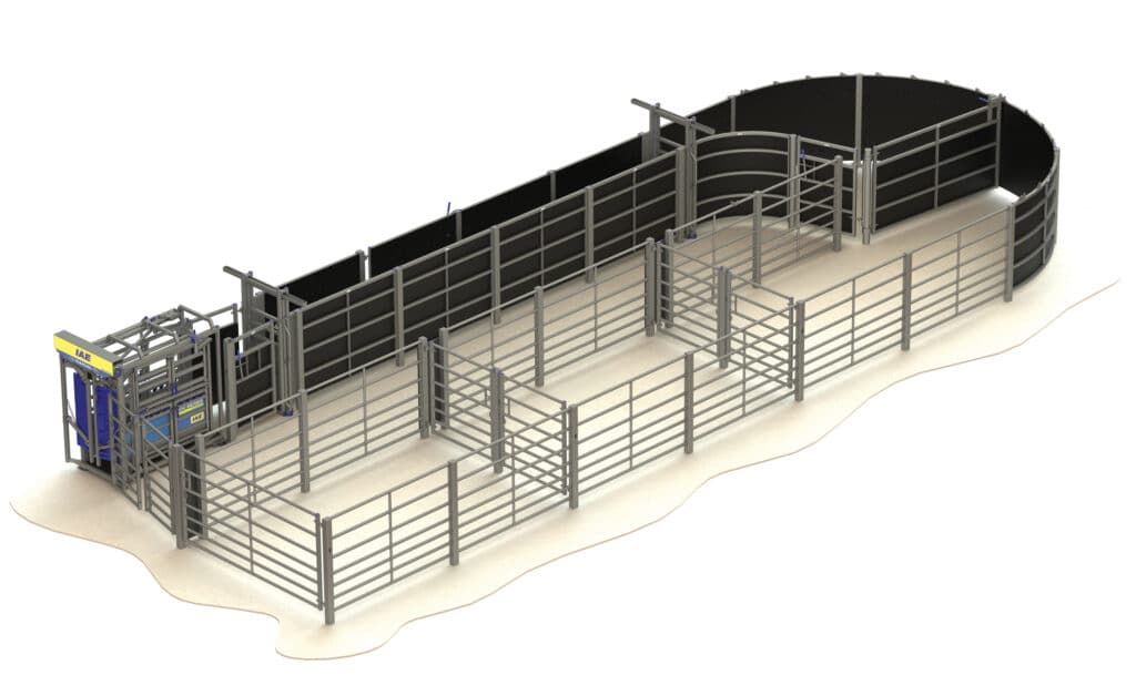 full dual-width adjustable cattle race system