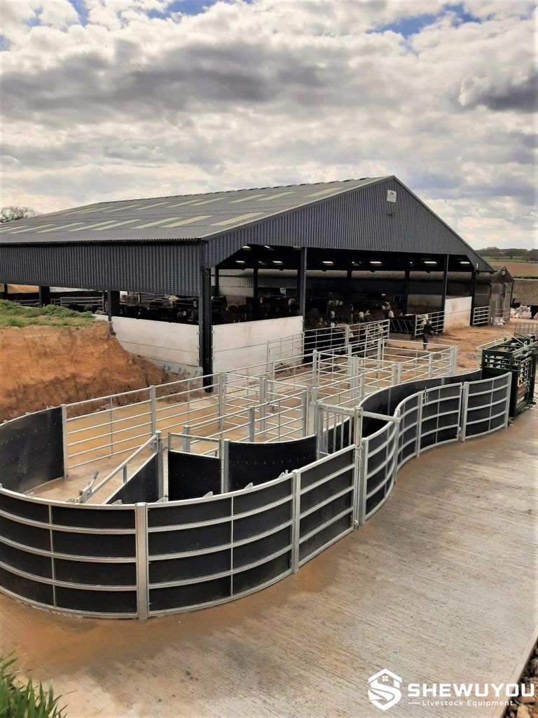 commercial cattle handling system with dual-width race