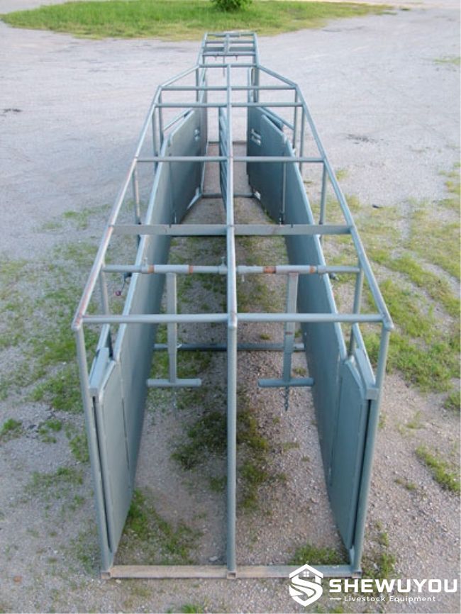 double lane cattle handling alley viewed from entry